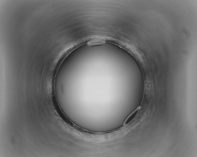 X0000112100015200908181335