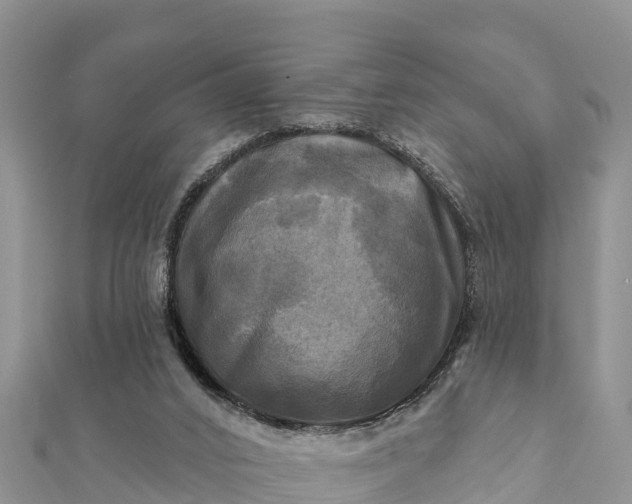 X0000112100016200908181335