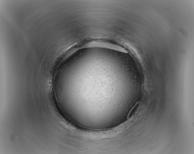 X0000112100017200908181335