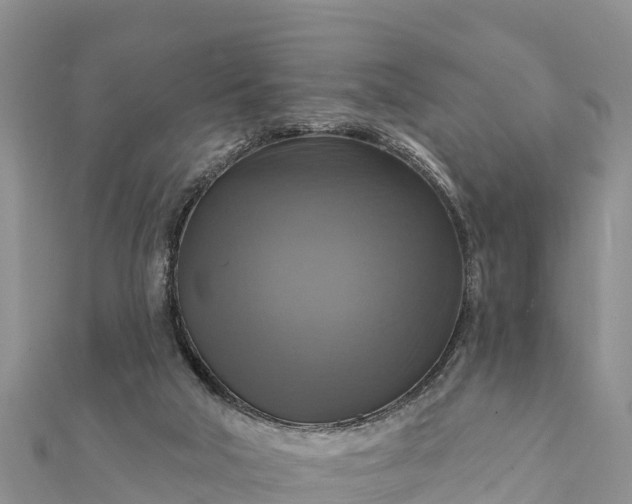 X0000112100018200908181335