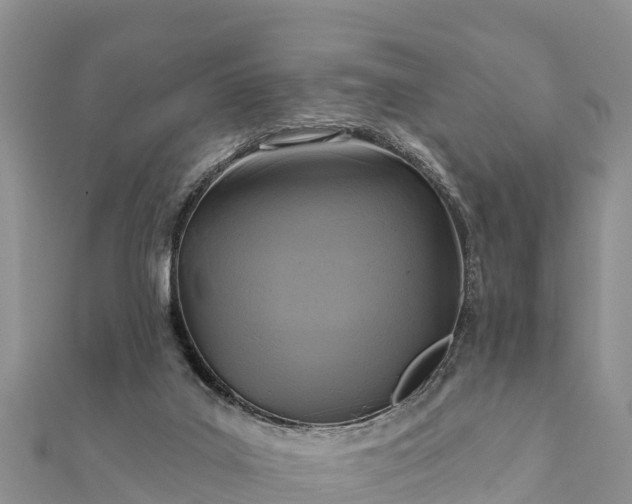 X0000112100019200908181335