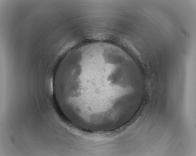 X0000112100020200908181335