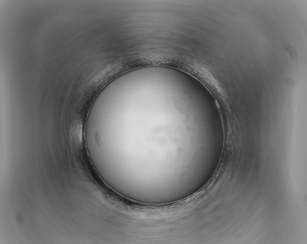 X0000112100021200908181335