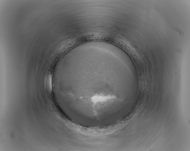 X0000112100022200908181335