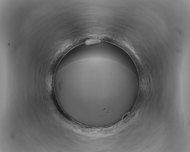 X0000112100023200908181335