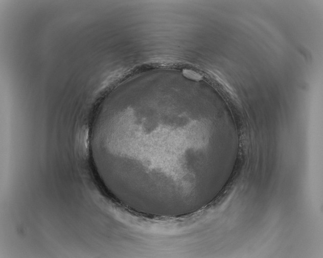 X0000112100024200908181335