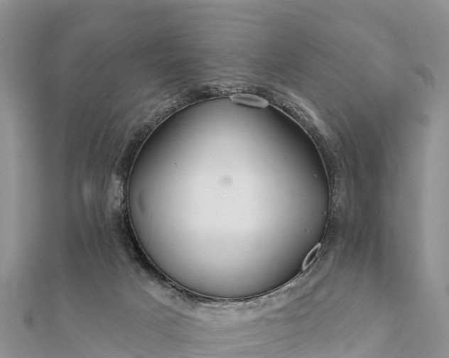 X0000112100025200908181335