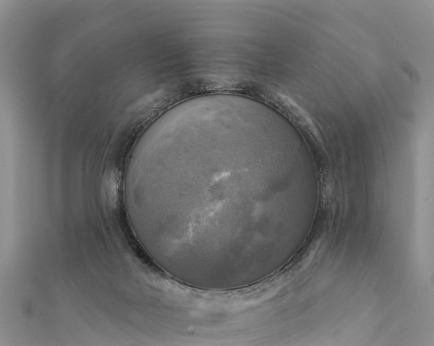 X0000112100026200908181335