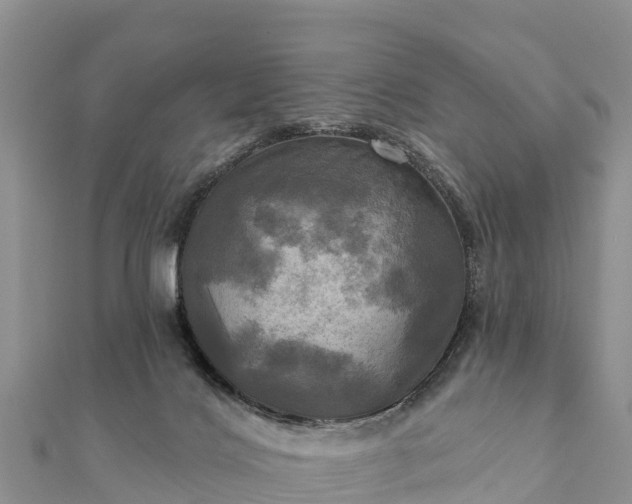 X0000112100028200908181335