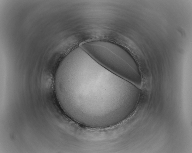 X0000112100029200908181335