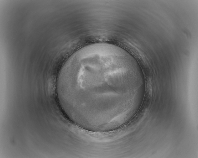 X0000112100030200908181335