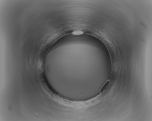 X0000112100031200908181335