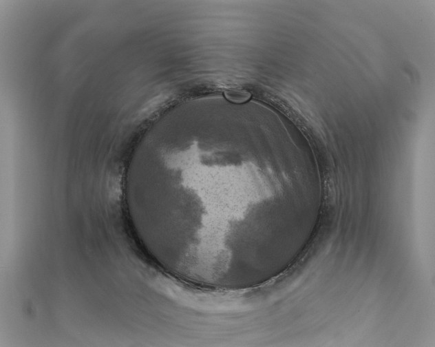 X0000112100032200908181335