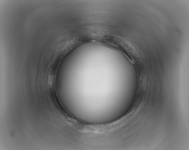 X0000112100033200908181335