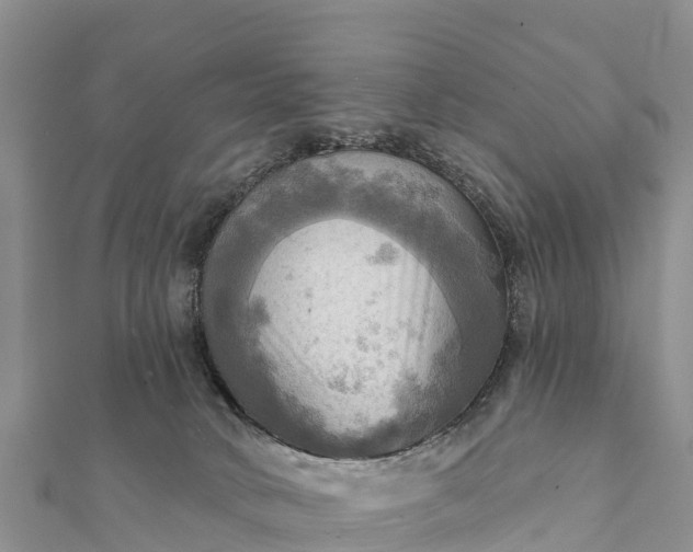 X0000112100034200908181335