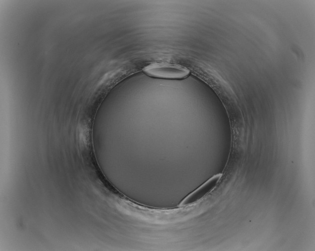 X0000112100035200908181335