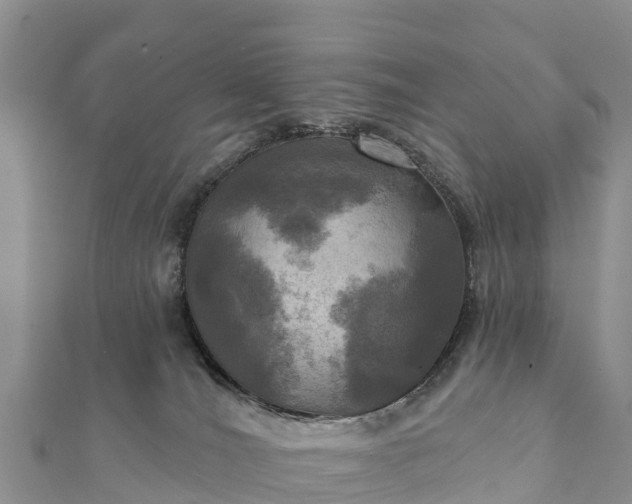 X0000112100036200908181335