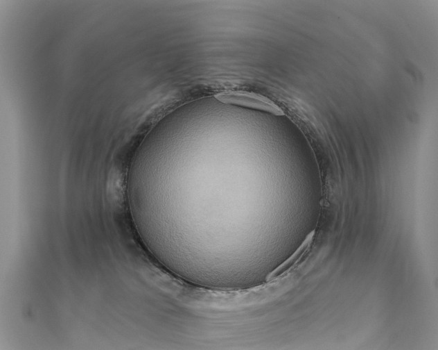 X0000112100037200908181335