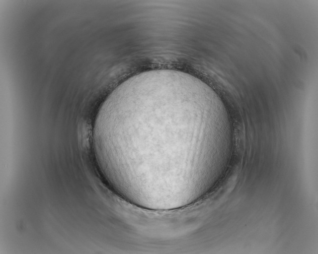 X0000112100038200908181335