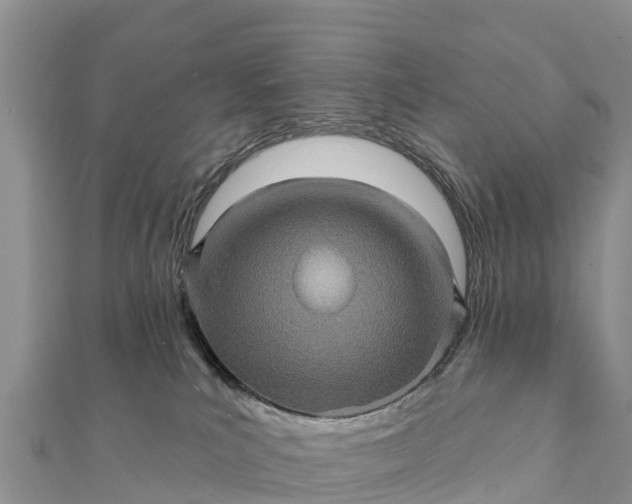 X0000112100039200908181335