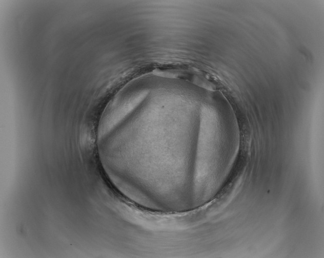 X0000112100040200908181335