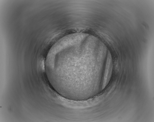 X0000112100042200908181335