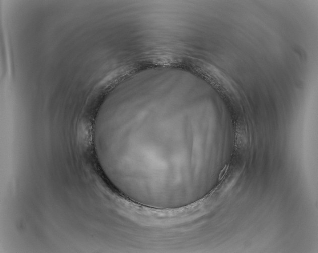 X0000112100043200908181335