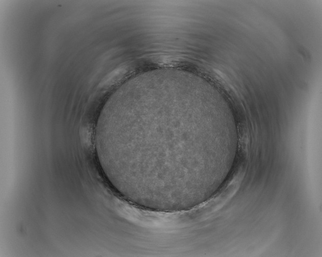 X0000112100044200908181335