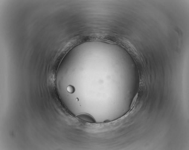 X0000112100045200908181335