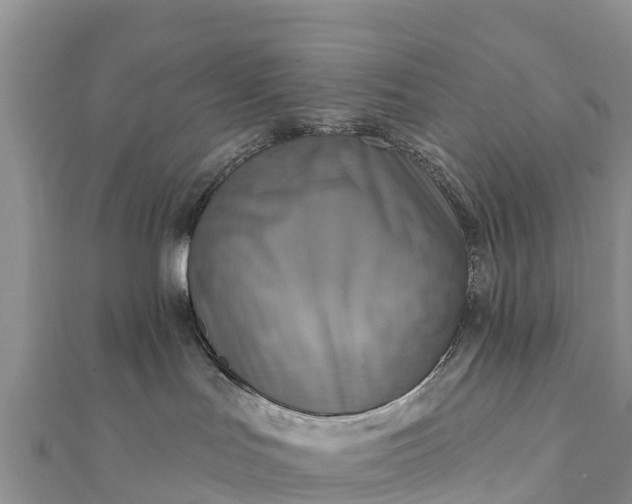 X0000112100047200908181335