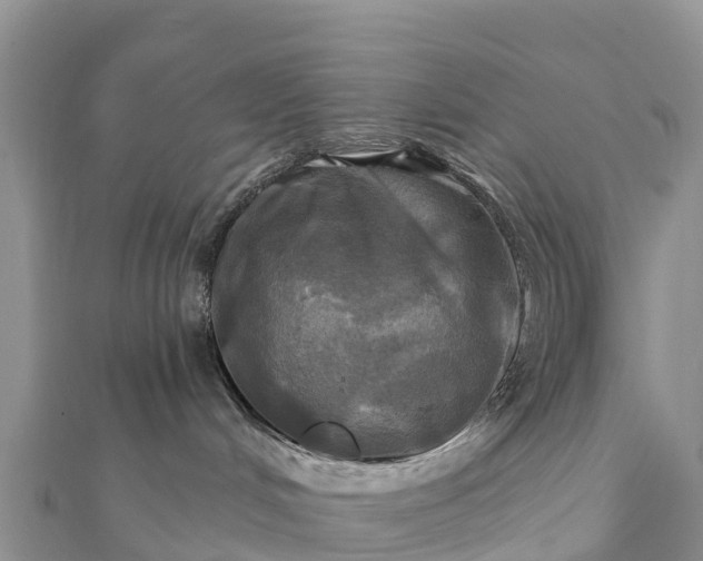 X0000112100048200908181335