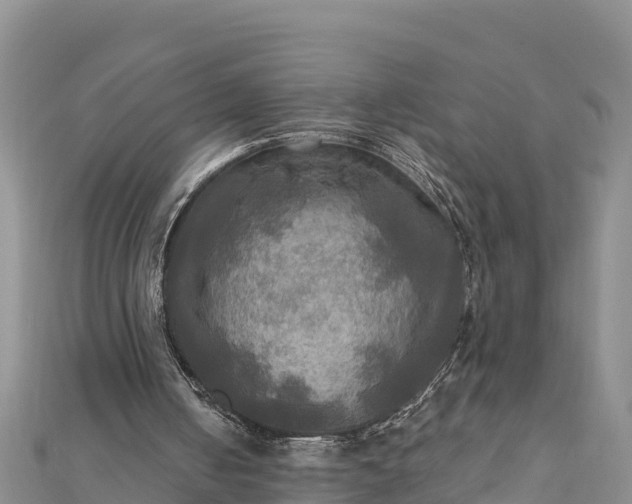 X0000112100050200908181334