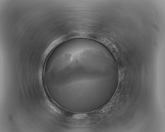 X0000112100051200908181334