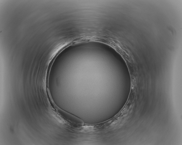 X0000112100052200908181334