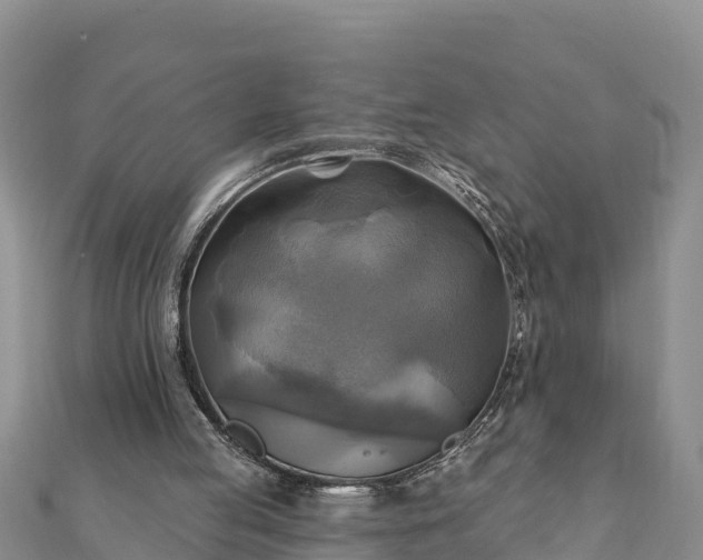 X0000112100053200908181334