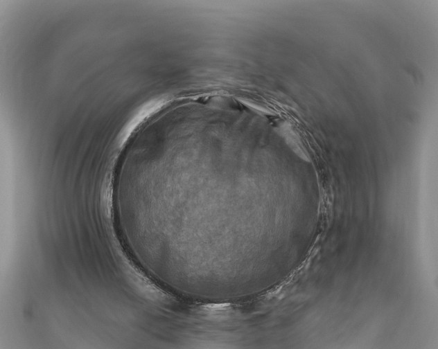 X0000112100054200908181334