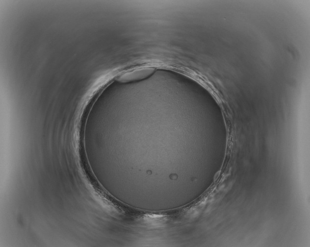 X0000112100055200908181334