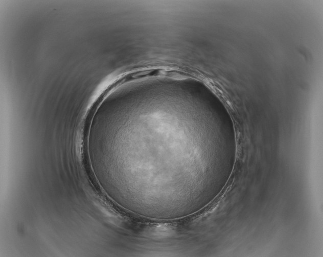 X0000112100056200908181335