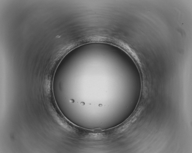 X0000112100057200908181335