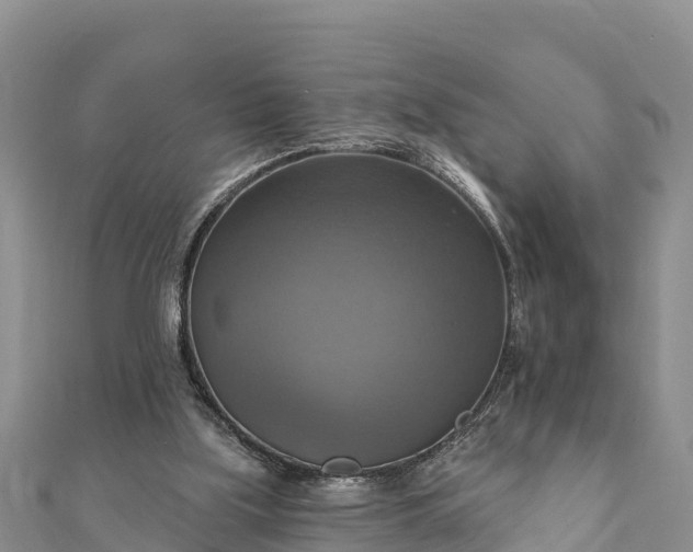 X0000112100059200908181335