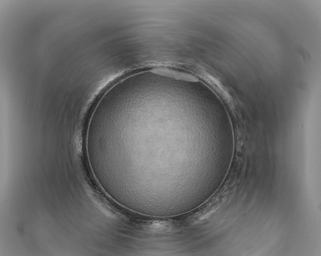 X0000112100060200908181335