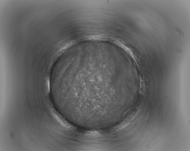 X0000112100061200908181335