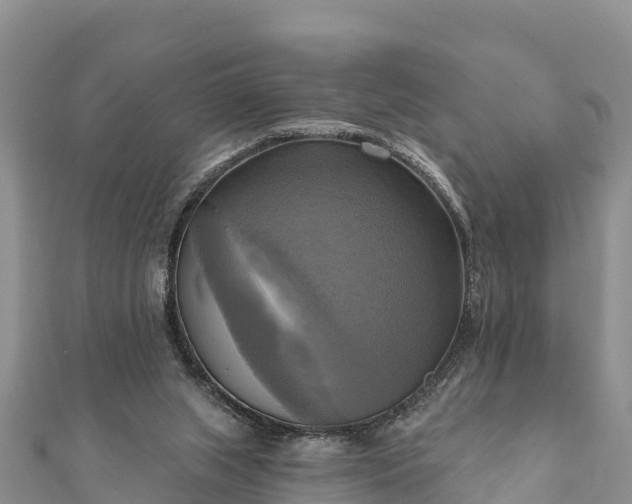 X0000112100063200908181335