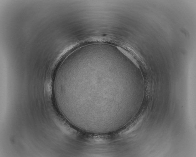 X0000112100064200908181335