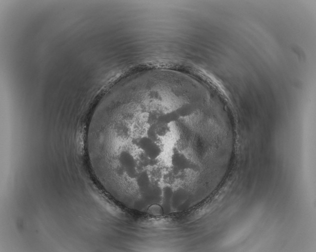 X0000112100065200908181335