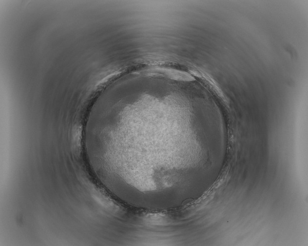 X0000112100066200908181335