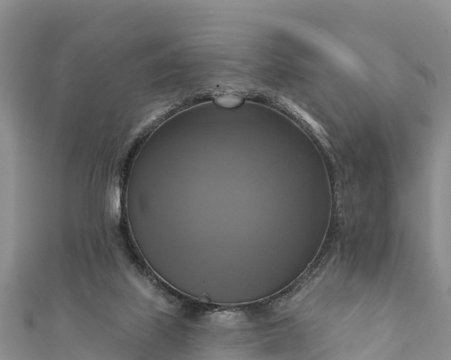 X0000112100067200908181335