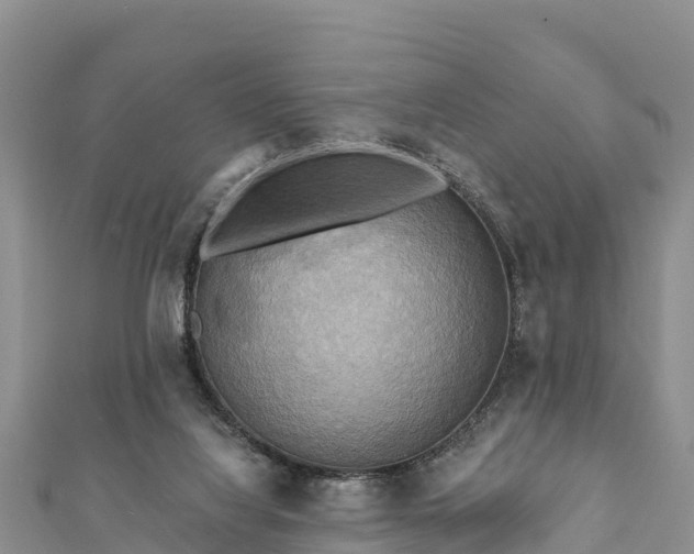 X0000112100068200908181335