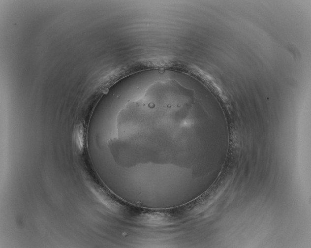 X0000112100069200908181335