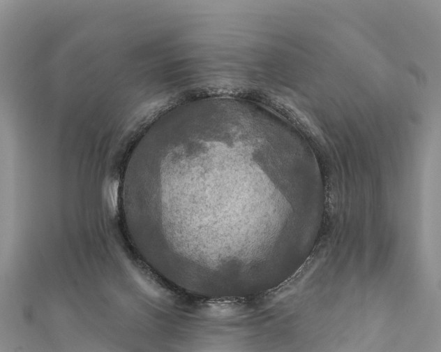 X0000112100070200908181335